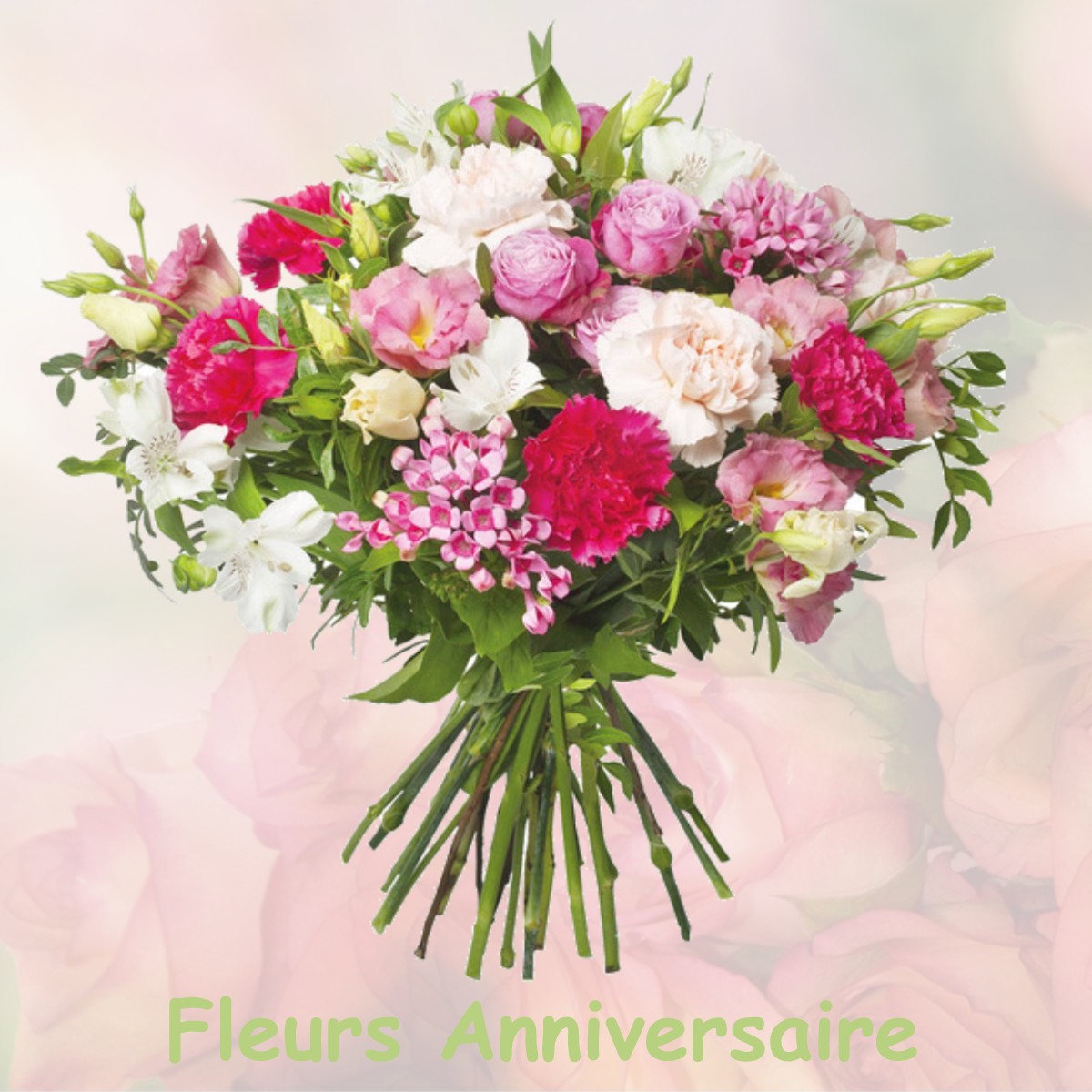 fleurs anniversaire VILLIERS-SUR-MARNE